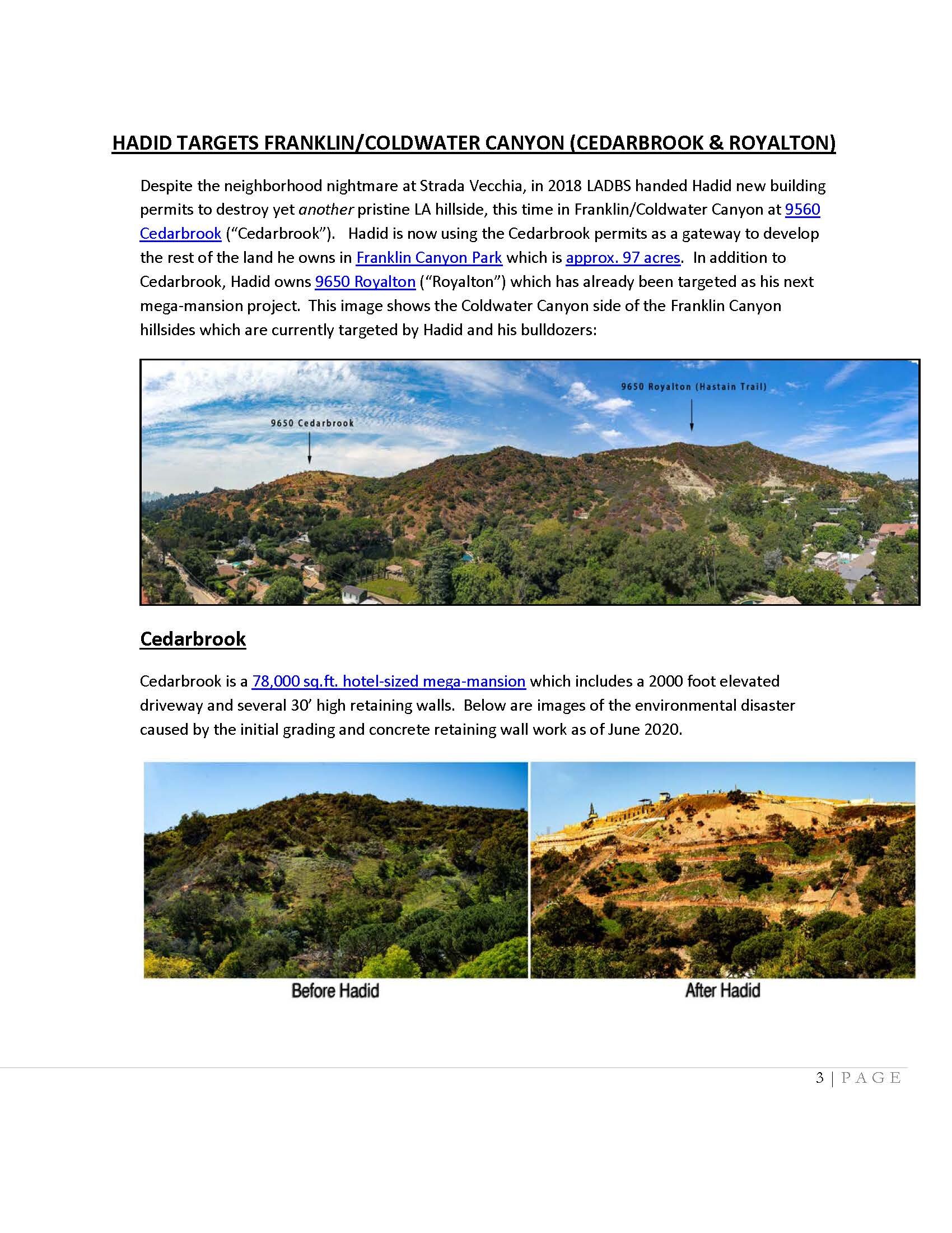 Franklin Coldwater Canyon Neighbors Intro_02_04_2021_Page_3.jpg